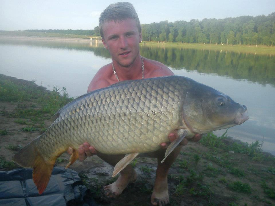 CONCURS LIKE-URI  - VOT PE FACEBOOK  - Bungo Patric 